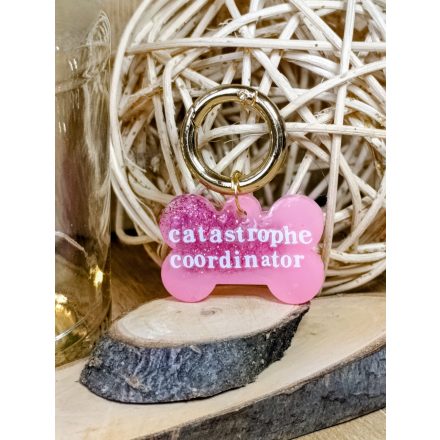 Catastrophe Coordinator feliratos biléta 