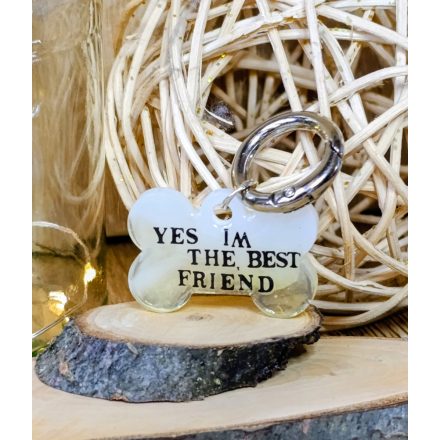 Yes, im the best friend feliratos biléta 