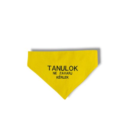 "Tanulok, ne zavarj kérlek!" sárga kendő